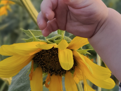 LE PRINTEMPS FAIT ÉCLORE DE NOUVEAUX PROJETS